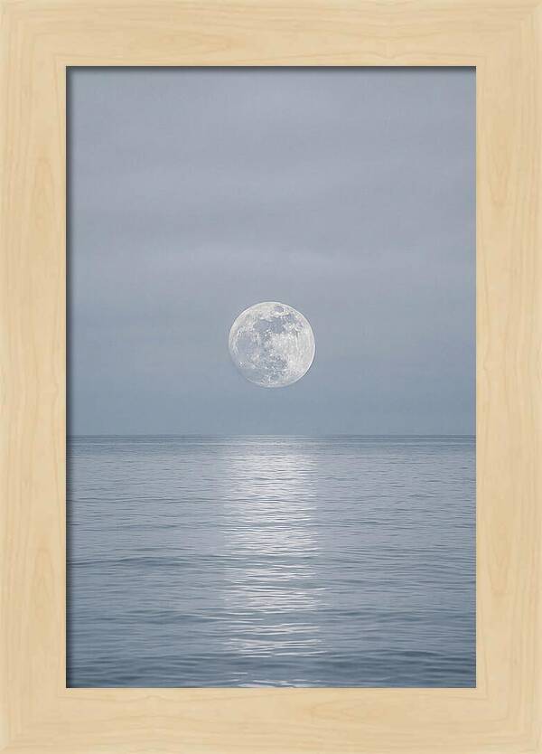 Moonlight Over Tranquil Waters