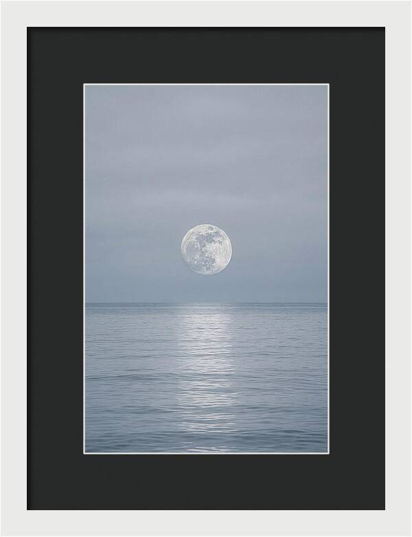 Moonlight Over Tranquil Waters
