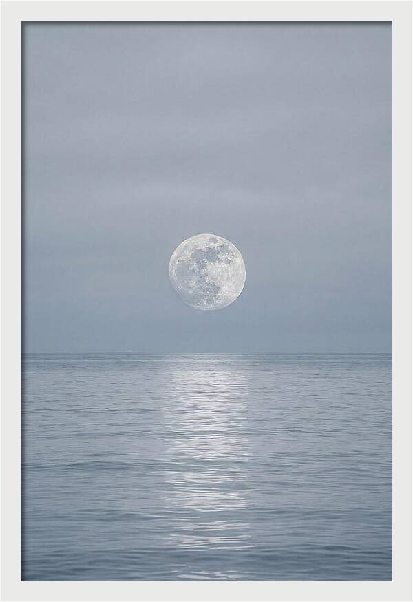 Moonlight Over Tranquil Waters