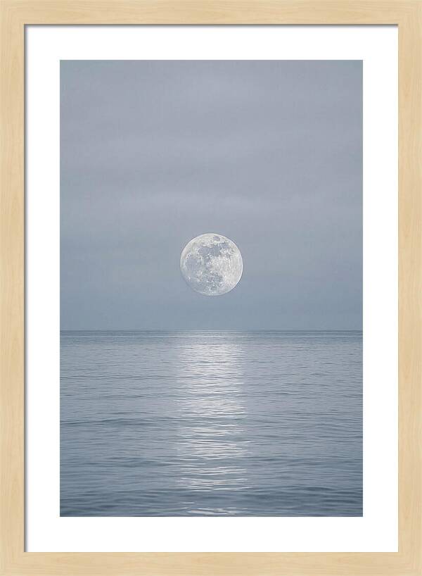 Moonlight Over Tranquil Waters