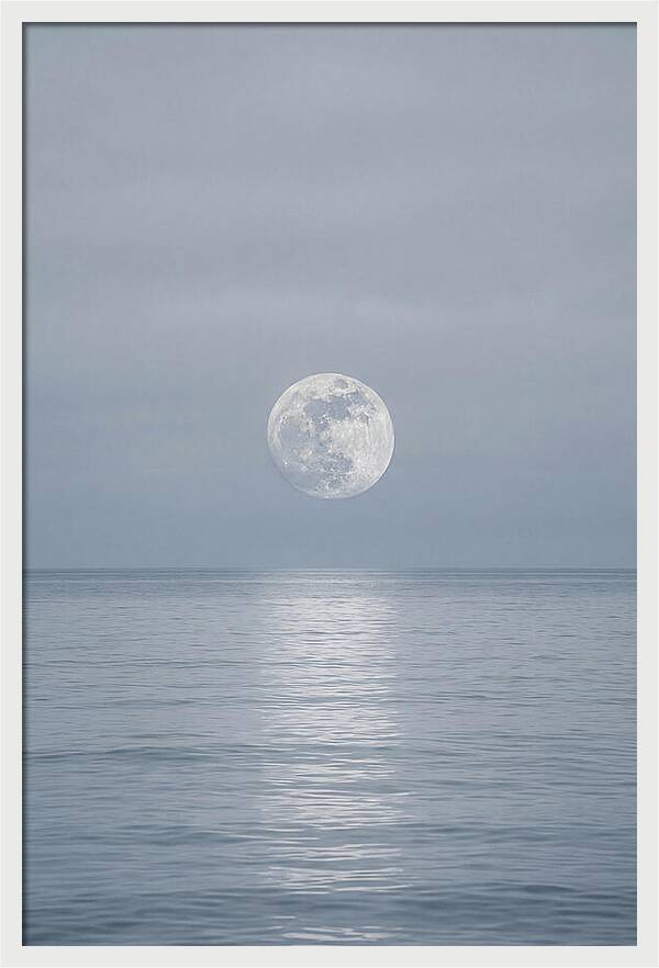 Moonlight Over Tranquil Waters