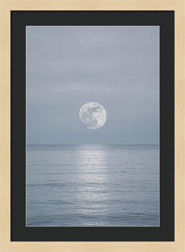 Moonlight Over Tranquil Waters
