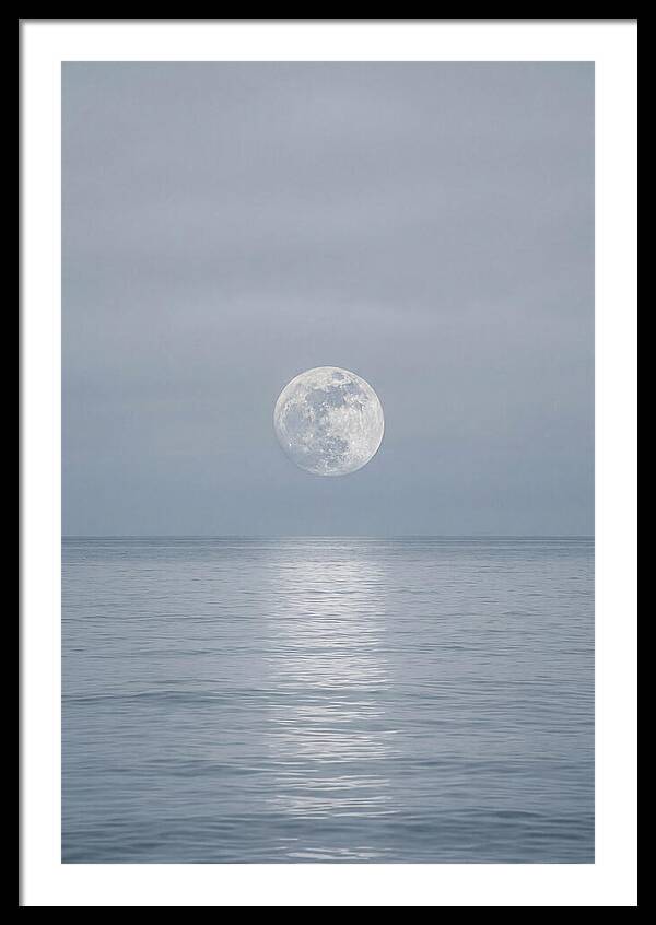 Moonlight Over Tranquil Waters