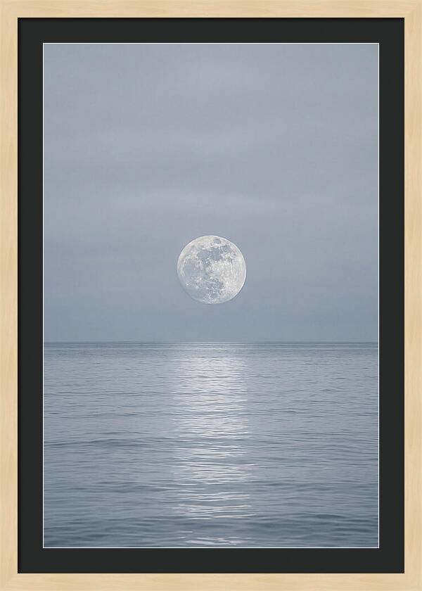 Moonlight Over Tranquil Waters
