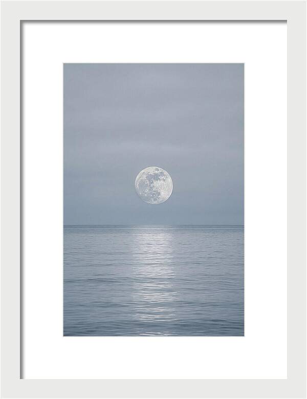 Moonlight Over Tranquil Waters