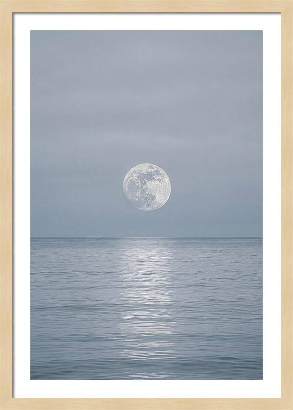 Moonlight Over Tranquil Waters