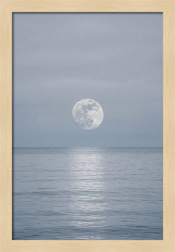 Moonlight Over Tranquil Waters