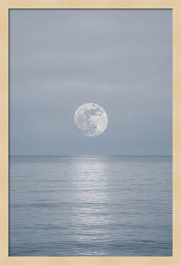 Moonlight Over Tranquil Waters