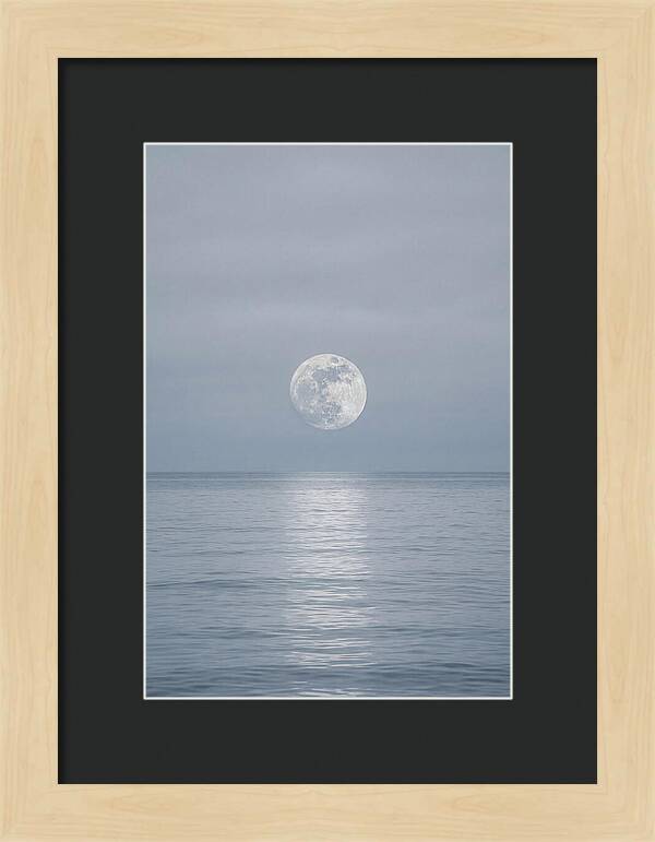 Moonlight Over Tranquil Waters