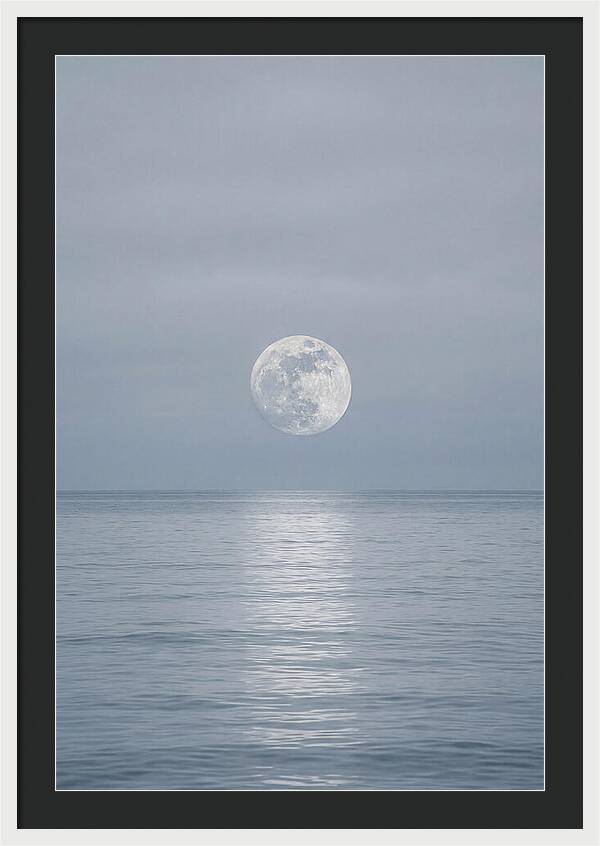 Moonlight Over Tranquil Waters