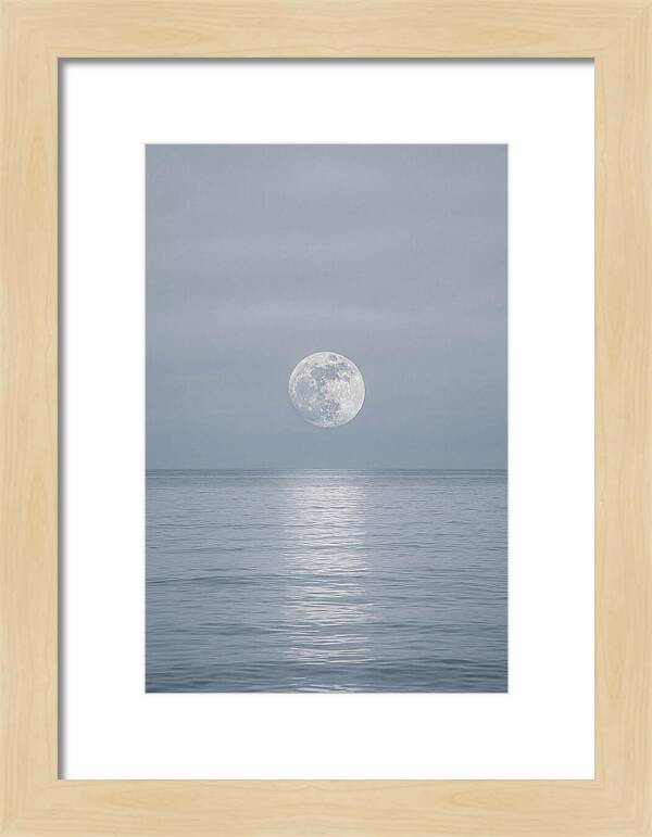 Moonlight Over Tranquil Waters