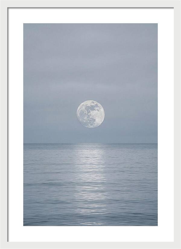 Moonlight Over Tranquil Waters