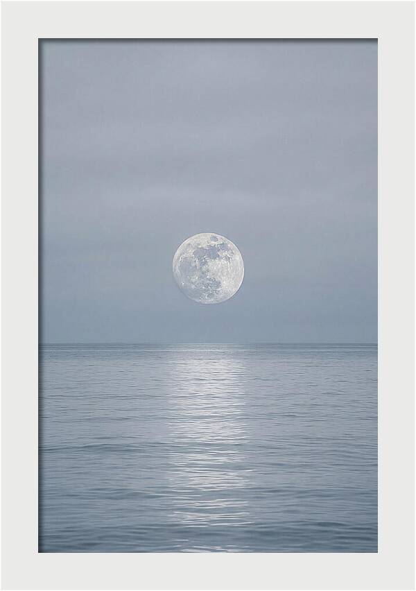 Moonlight Over Tranquil Waters