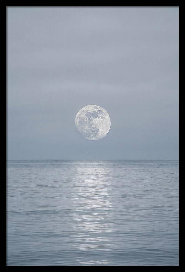 Moonlight Over Tranquil Waters