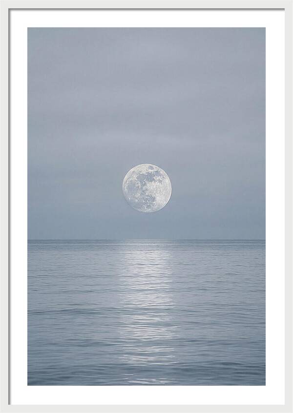 Moonlight Over Tranquil Waters