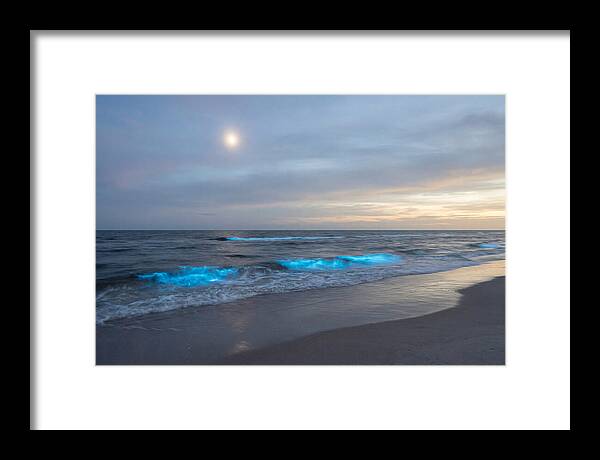 Moonlit Ocean With Bioluminescence