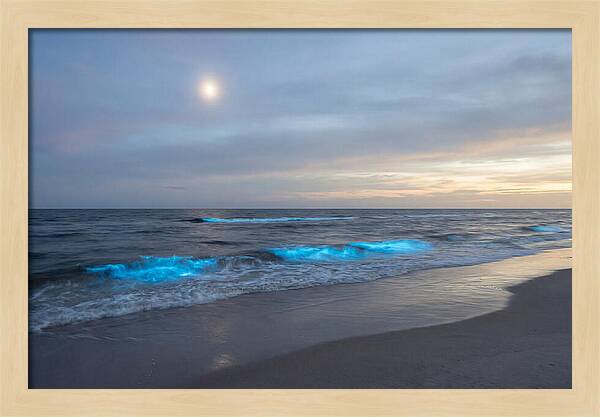 Moonlit Ocean With Bioluminescence