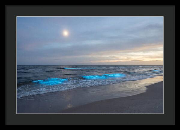 Moonlit Ocean With Bioluminescence