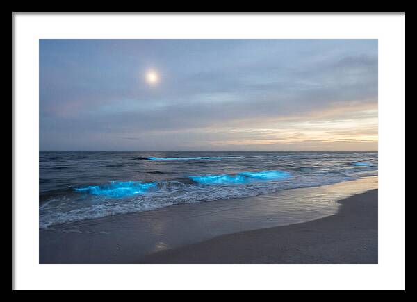 Moonlit Ocean With Bioluminescence