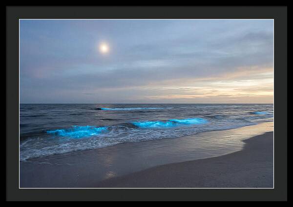 Moonlit Ocean With Bioluminescence