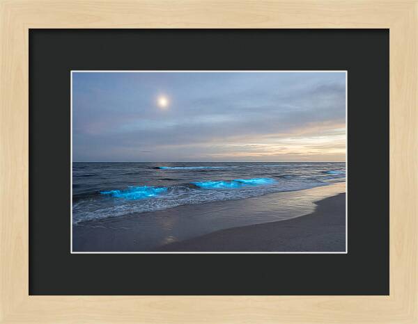 Moonlit Ocean With Bioluminescence