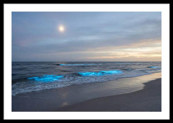 Moonlit Ocean With Bioluminescence
