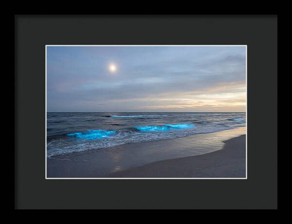Moonlit Ocean With Bioluminescence