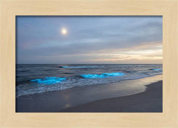 Moonlit Ocean With Bioluminescence