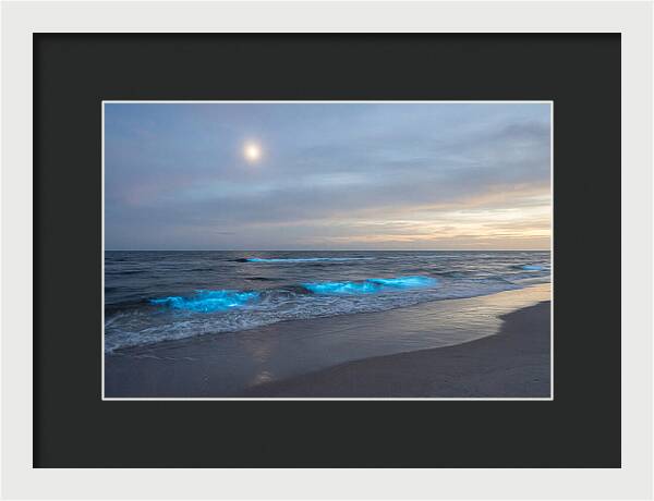Moonlit Ocean With Bioluminescence