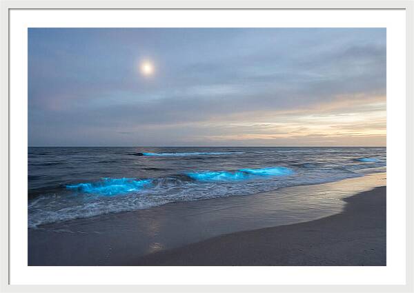 Moonlit Ocean With Bioluminescence