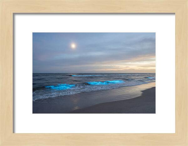 Moonlit Ocean With Bioluminescence