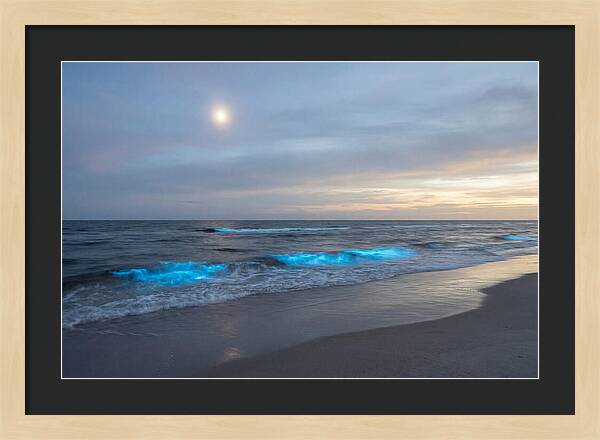 Moonlit Ocean With Bioluminescence