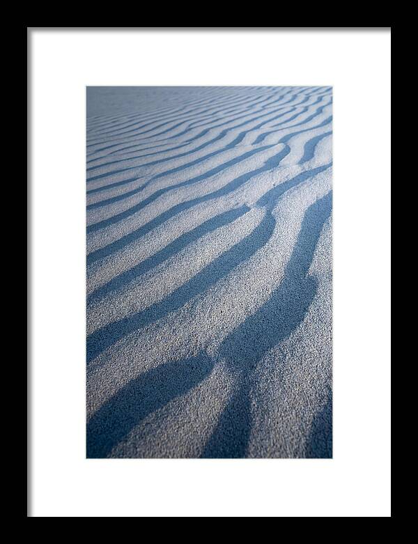 Moonlit Sand Dunes