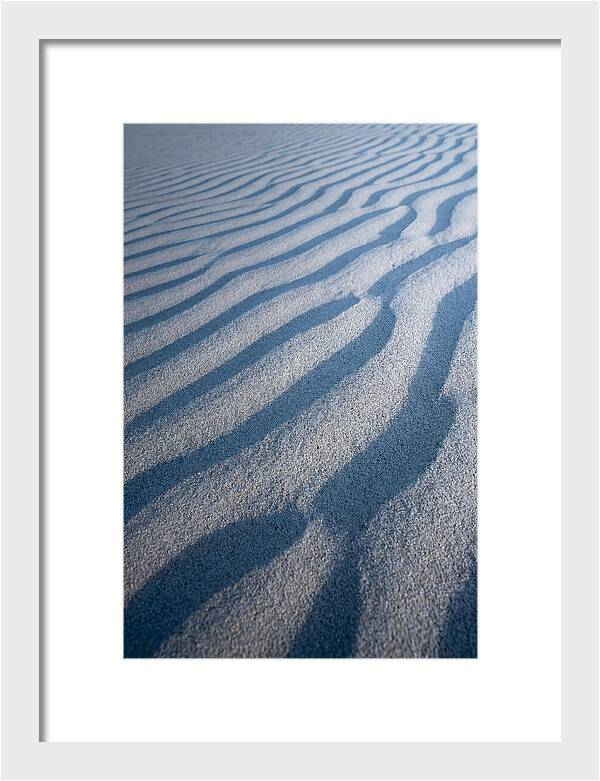 Moonlit Sand Dunes