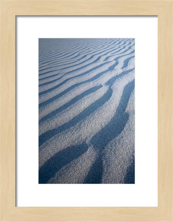 Moonlit Sand Dunes