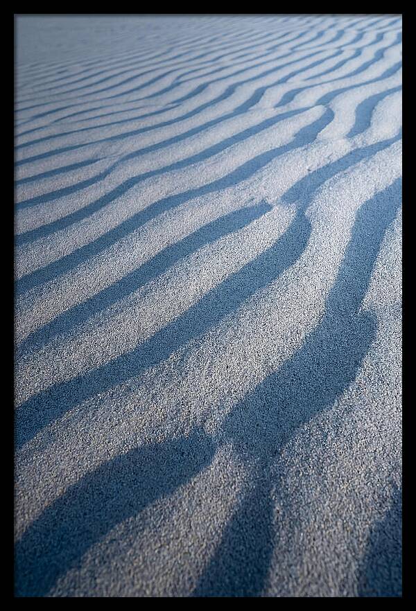 Moonlit Sand Dunes