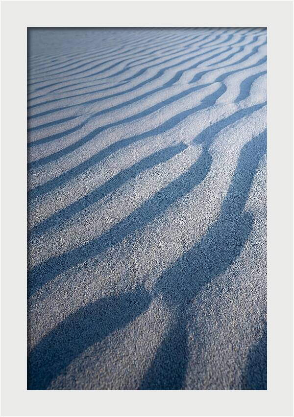 Moonlit Sand Dunes