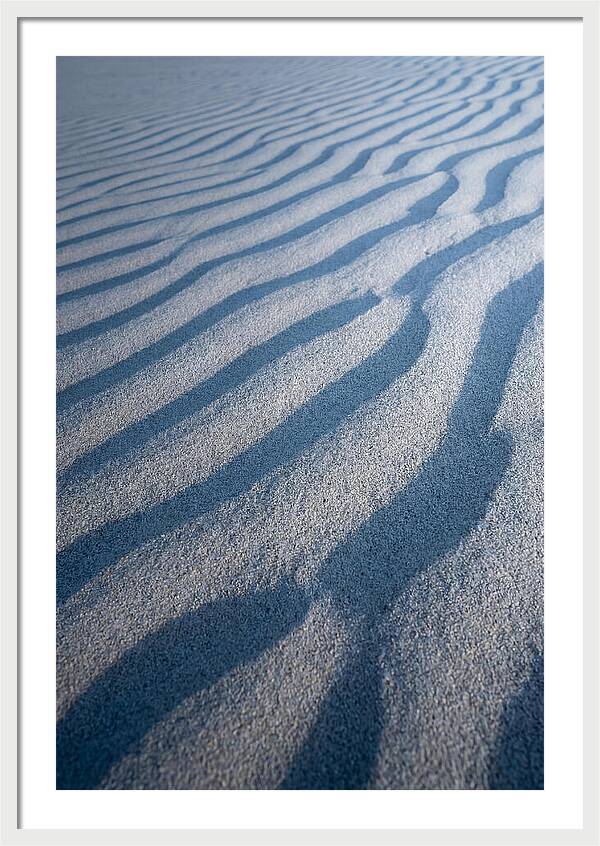 Moonlit Sand Dunes