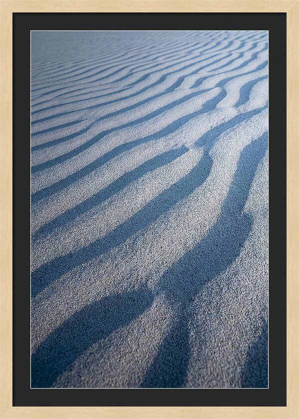 Moonlit Sand Dunes