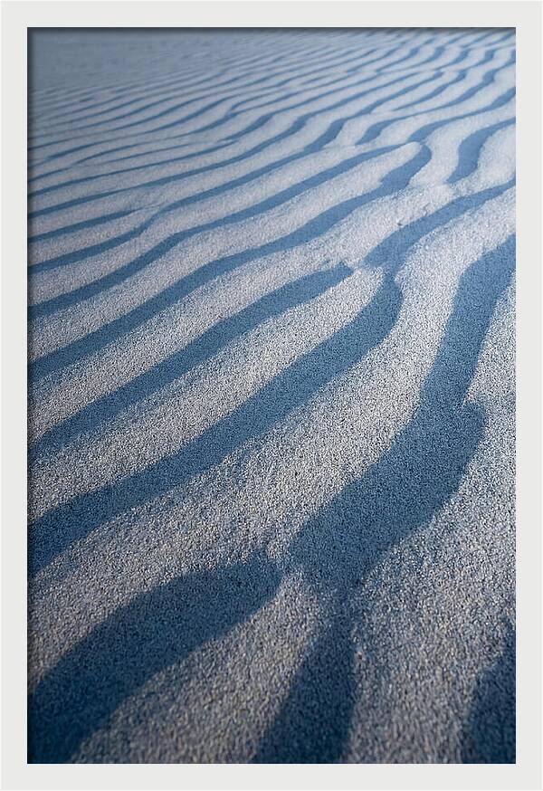 Moonlit Sand Dunes
