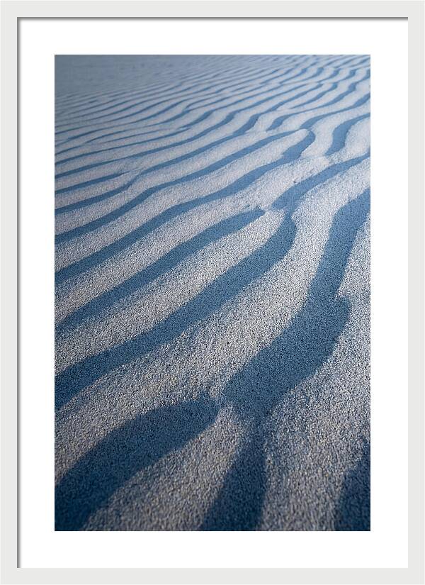 Moonlit Sand Dunes