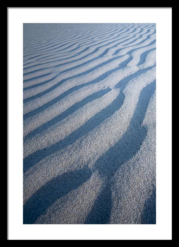 Moonlit Sand Dunes