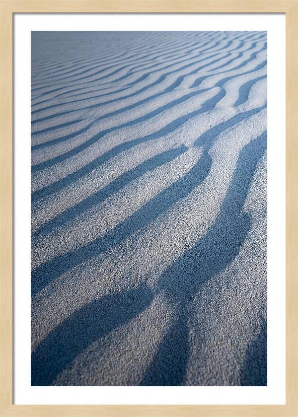 Moonlit Sand Dunes