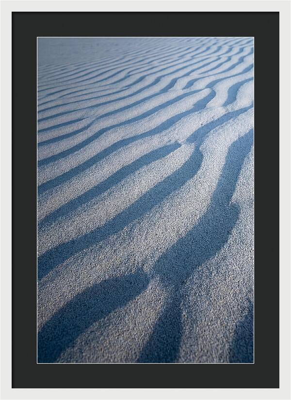 Moonlit Sand Dunes