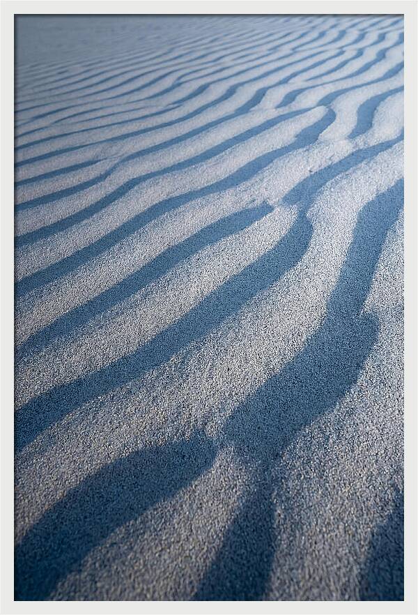 Moonlit Sand Dunes