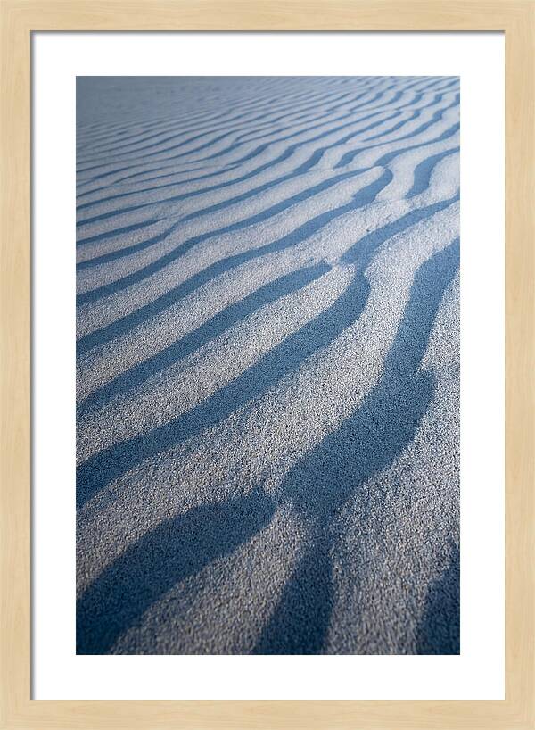 Moonlit Sand Dunes