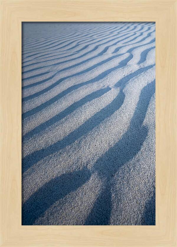 Moonlit Sand Dunes