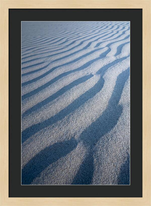 Moonlit Sand Dunes