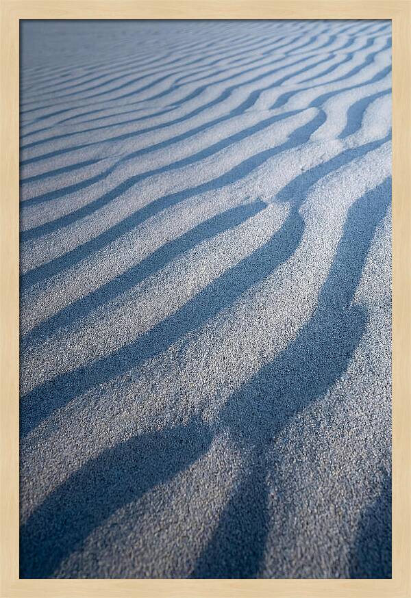 Moonlit Sand Dunes