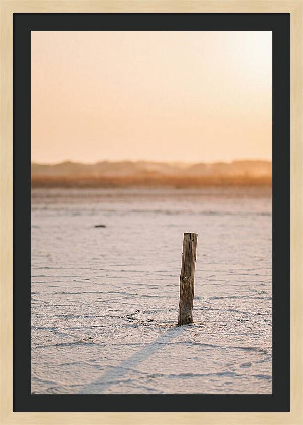 Moonlit Warmth Of Rann Of Kutch